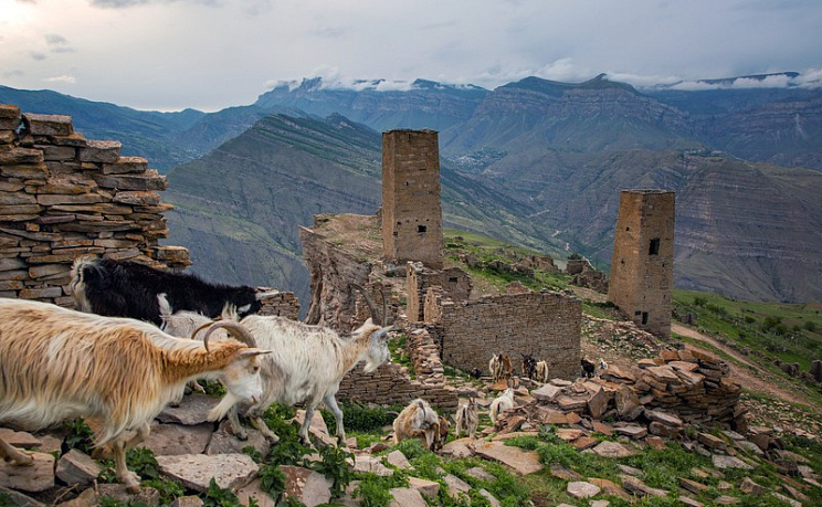 Гоор и Кахиб - Изображение 5