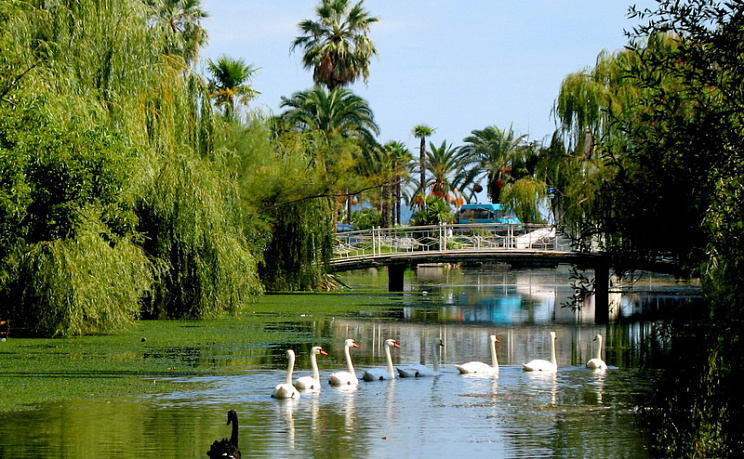 Новый Афон - Пещера  - Изображение 1