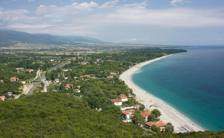 Лептокария - Изображение 3