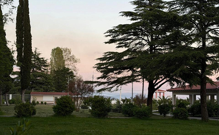 Villa Bella, Гудаута - Изображение 22