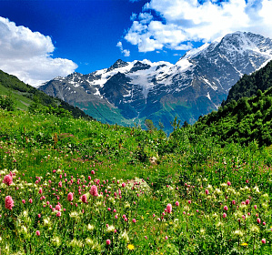 В работе! АВТОБУСНЫЙ ТУР НА ЭЛЬБРУС