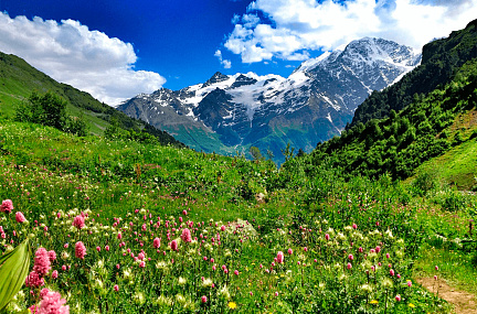 В работе! АВТОБУСНЫЙ ТУР НА ЭЛЬБРУС