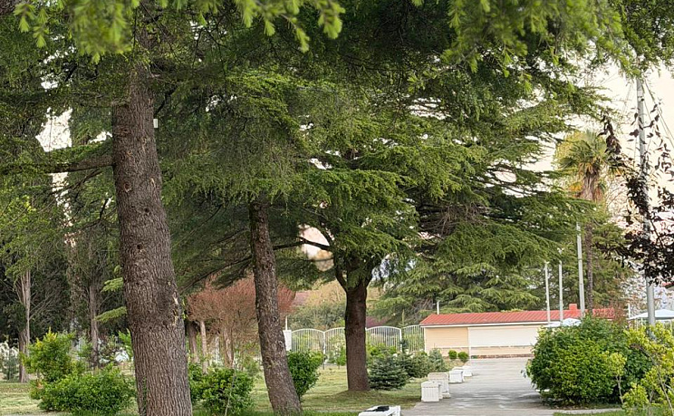 Villa Bella, Гудаута - Изображение 21