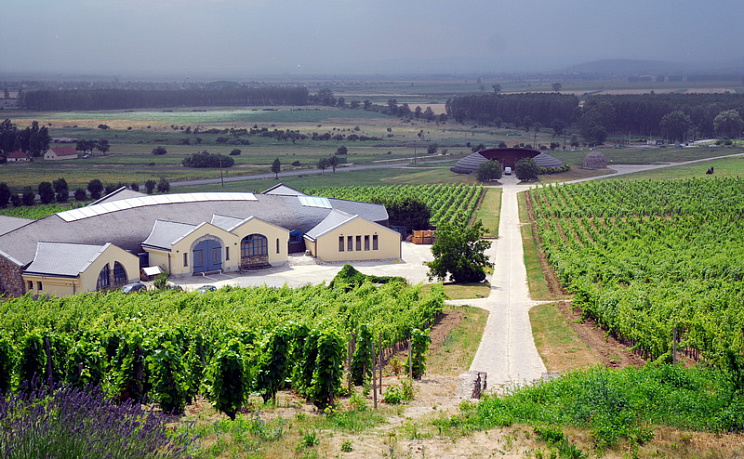 Токай - Изображение 0